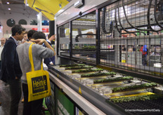 Always busy around the AutoStix of Visser Horti Systems.